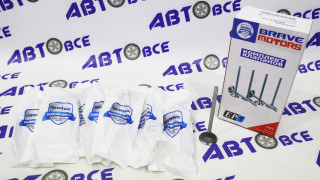 Клапан ГРМ впускной Lanos,Nubira 1.6 16V (комплект 8шт) (102,4+30,6+6) BRAVE