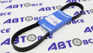 Ремень генератора ВАЗ-1118-117-119 6PK882 GLOBELT