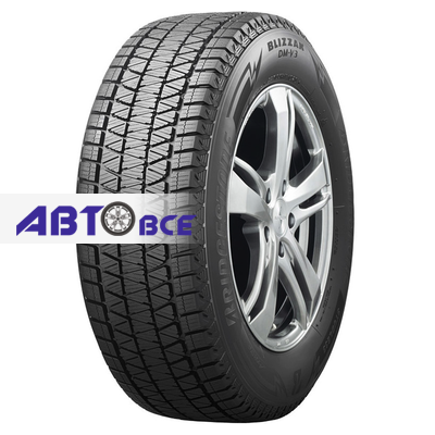 Шины Bridgestone Blizzak DM-V3