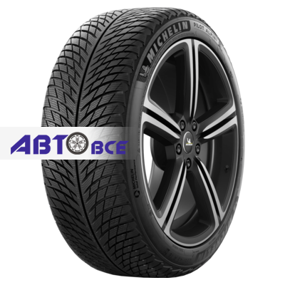 Шины Michelin Pilot Alpin 5