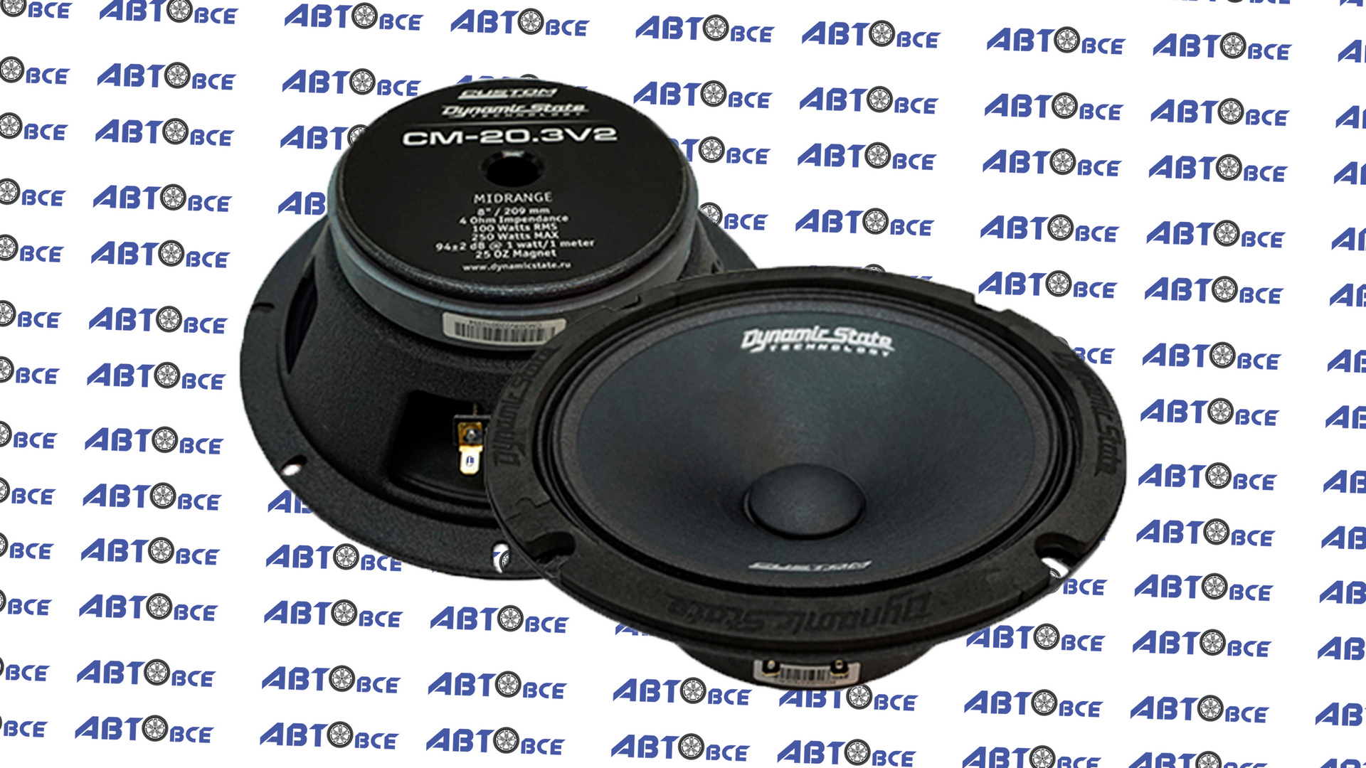 Динамики (акустика) комплект 2шт R20 (эстрада) CM-20.3v2 CUSTOM DYNAMIC STATE