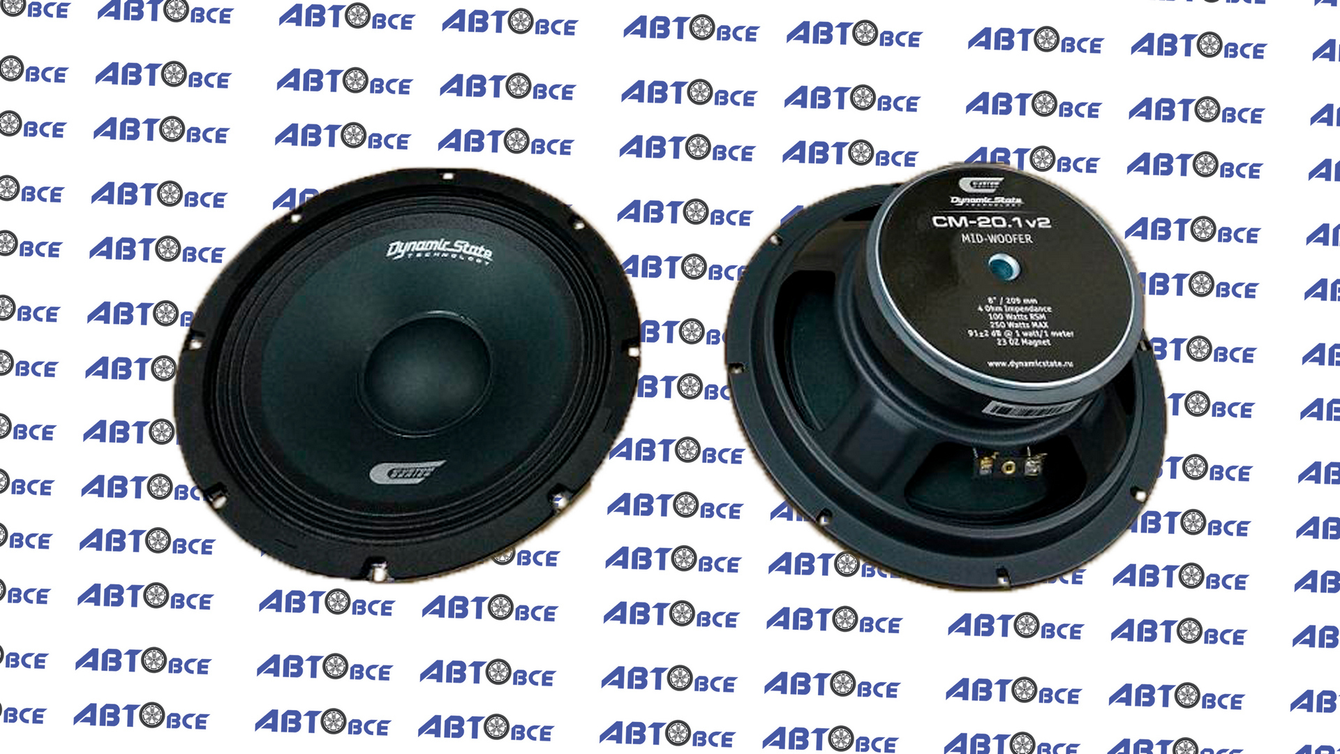 Динамики (акустика) комплект 2шт R20 (эстрада) CM-20.1v2 Custom series DYNAMIC STATE