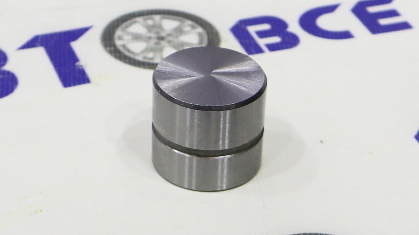 Гидрокомпенсатор 16V ВАЗ-2110-2111-2112-2170-1119-Vesta-X-ray (мотор ВАЗ) (1шт) ТОЛЬЯТТИ